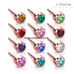 Rose Assorted Kulak Delme Küpesi - Nina Medikal