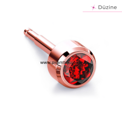 Rose Ruby Kulak Delme Küpesi - Nina Medikal