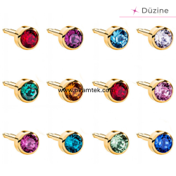 Gold Assorted Kulak Delme Küpesi - Nina Medikal