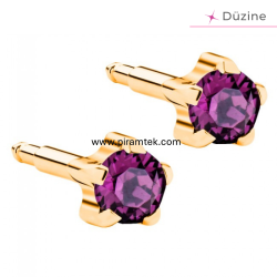 Gold Tırnaklı Amethyst Kulak Delme Küpesi - Nina Medikal